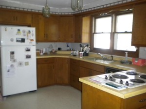 Kitchen Cabinets - Before